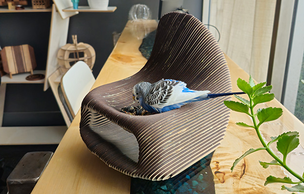 a mini version of festival furniture designed using a 3d slicer program sits on a counter. The prototype is a rounded chair made of mdf slices. a small blue bird is eating weed from an ident in the seat.
