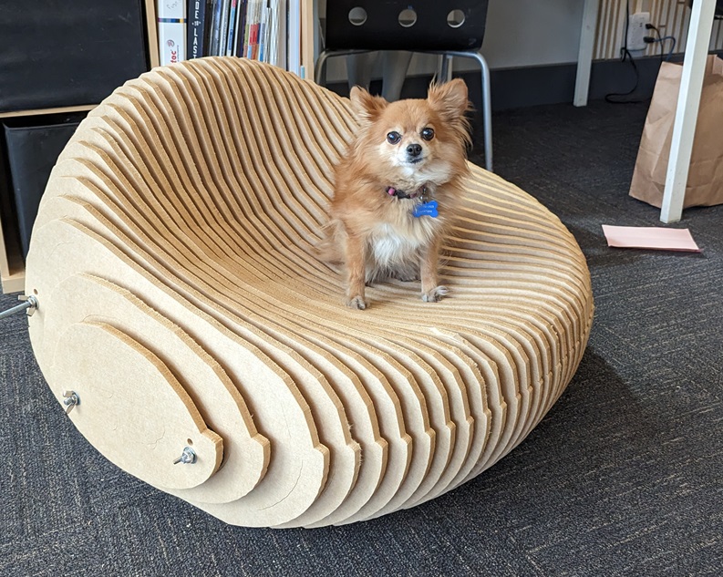 3d laser cut wood chair made out of slices of plywood. Small chihuahua is sitting on the chair.
